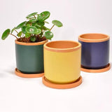 Maceta grande de arcilla verde bosque con platillo (varios colores)