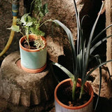 Jardinera de arcilla artesanal Lama