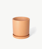 Olla de barro Dinís